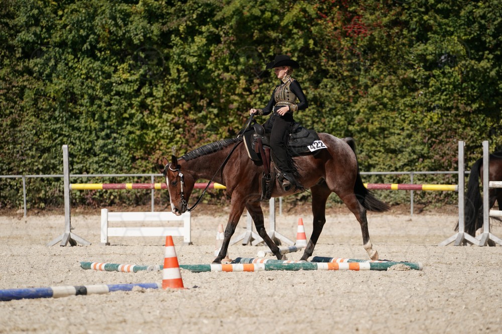 s_A_907871.JPG